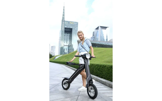 Lehe K1 + E-Mofa Schwarz 2 Lehe K1 + E-Mofa Schwarz – Bild 2