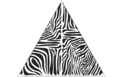 Bent TC- Zip-Canvas Single Verbindbares Sonnensegel 250 X 250 X 250 Cm Afrika Design 10 Bent TC- Zip-Canvas Single Verbindbares Sonnensegel 250 X 250 X 250 Cm Afrika Design -Fiama Camping Geschaft 448622 3884350 2