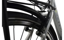 LLobe SilverLine City-E-Bike 28 Zoll 10 Ah Silber -Fiama Camping Geschaft 454685 3149429