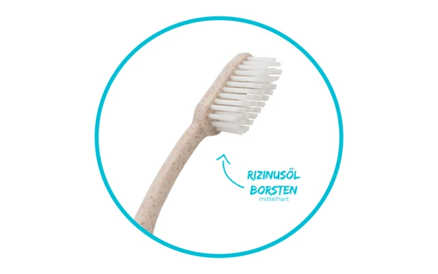 Chinchilla Zahnbürste Biologisch Abbaubar 1 Stück 2 Chinchilla Zahnbürste Biologisch Abbaubar 1 Stück – Bild 2