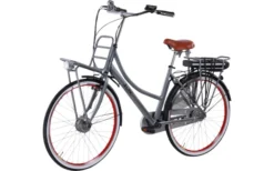 Llobe Rosendaal 3 Lady City E-Bike 28 Zoll Grau 13 Ah -Fiama Camping Geschaft 663522 4604361