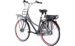 Llobe Rosendaal 3 Lady City E-Bike 28 Zoll Grau 13 Ah -Fiama Camping Geschaft 663525 4604367
