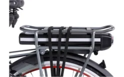 Llobe Rosendaal 3 Lady City E-Bike 28 Zoll Grau 13 Ah -Fiama Camping Geschaft 663528 4604373