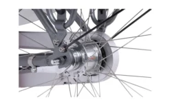 Llobe Rosendaal 3 Lady City E-Bike 28 Zoll Grau 13 Ah -Fiama Camping Geschaft 663531 4604379