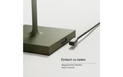 Sigor Akku-Tischleuchte Nuindie 380 Mm Salbeigrün -Fiama Camping Geschaft 810359 5289299